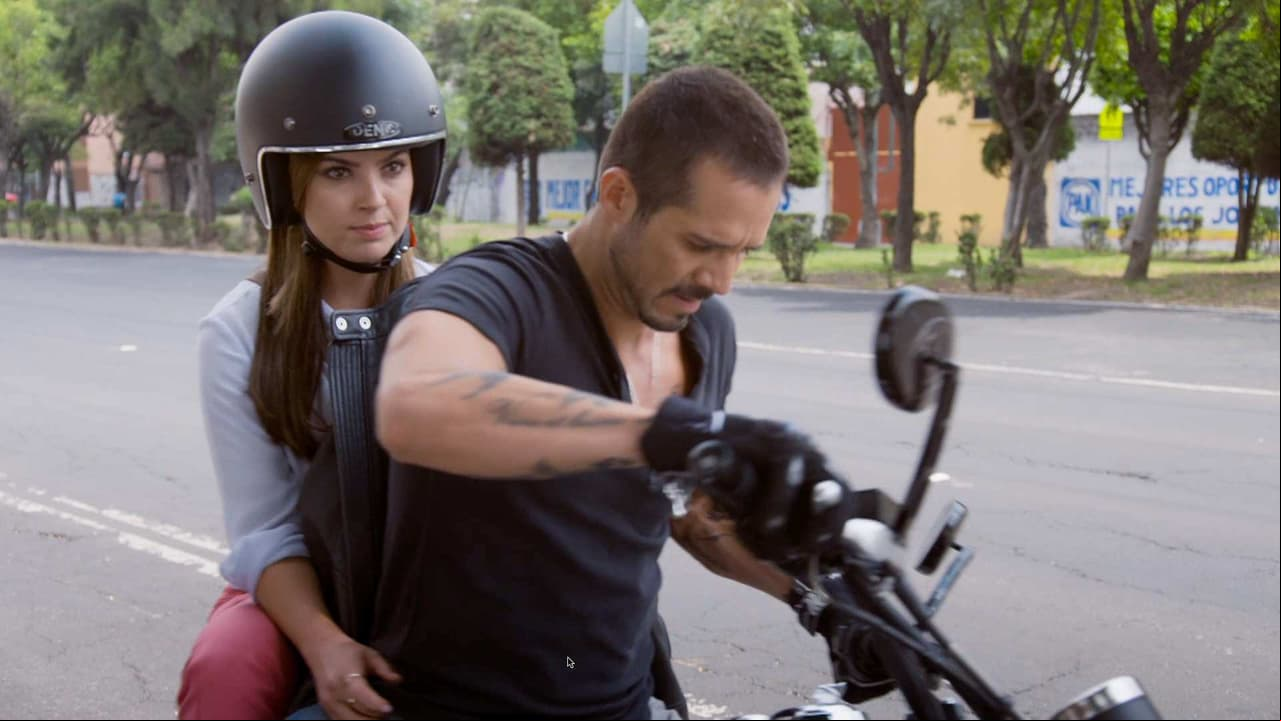 ¡El primer encuentro de Julia y Ringo!