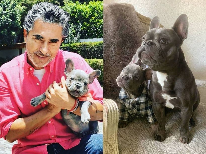 Raúl Araiza perdió a su querida Manola, una perrita de raza pomerania, en 2020, y aunque desde entonces no tiene mascota, de vez en cuando se hace cargo de Juan y Luciano, dos perritos bulldog francés de quienes sus hijas son dueñas.