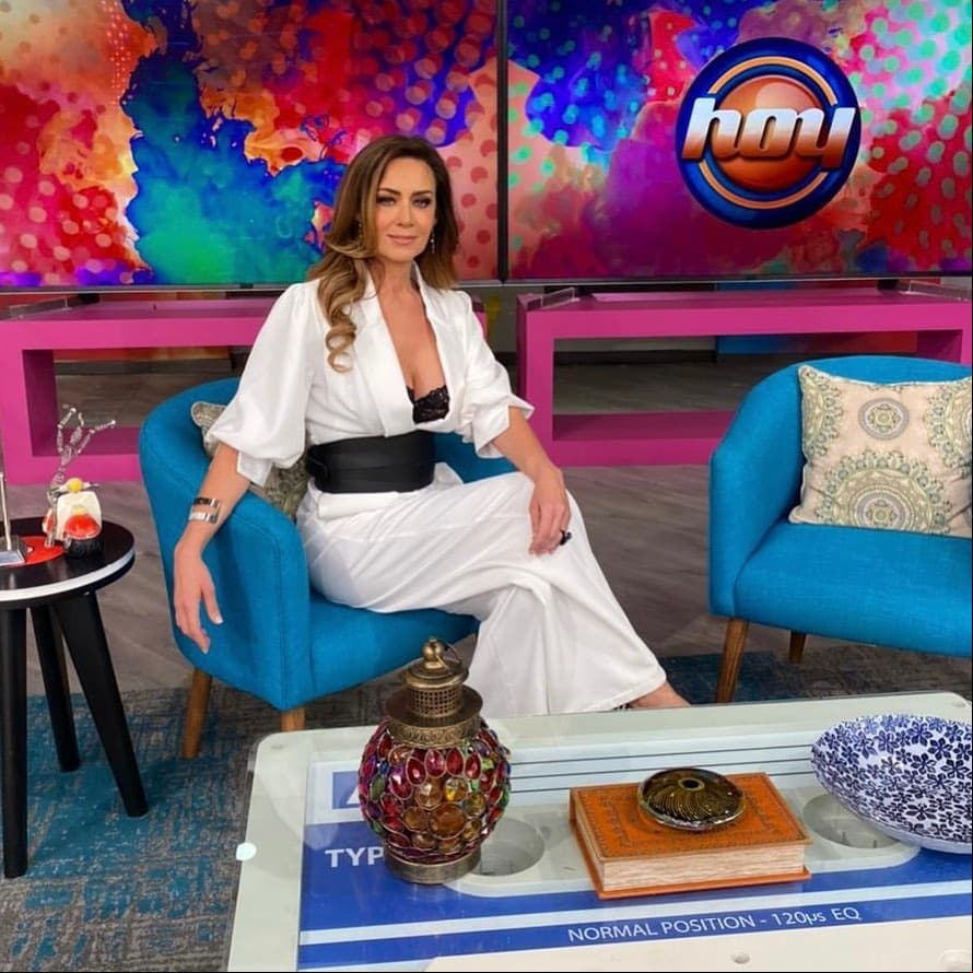 Actualmente, Anette Michel se encuentra como conductora invitada del programa Hoy en donde aparecerá esta semana presentando algunos de los segmentos más importantes del matutino.