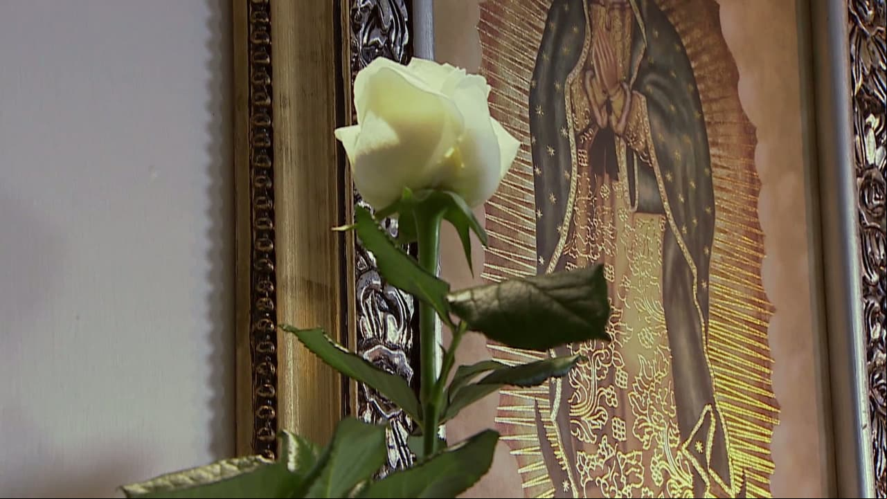 Maratón: La rosa de Guadalupe 24 abril 2016