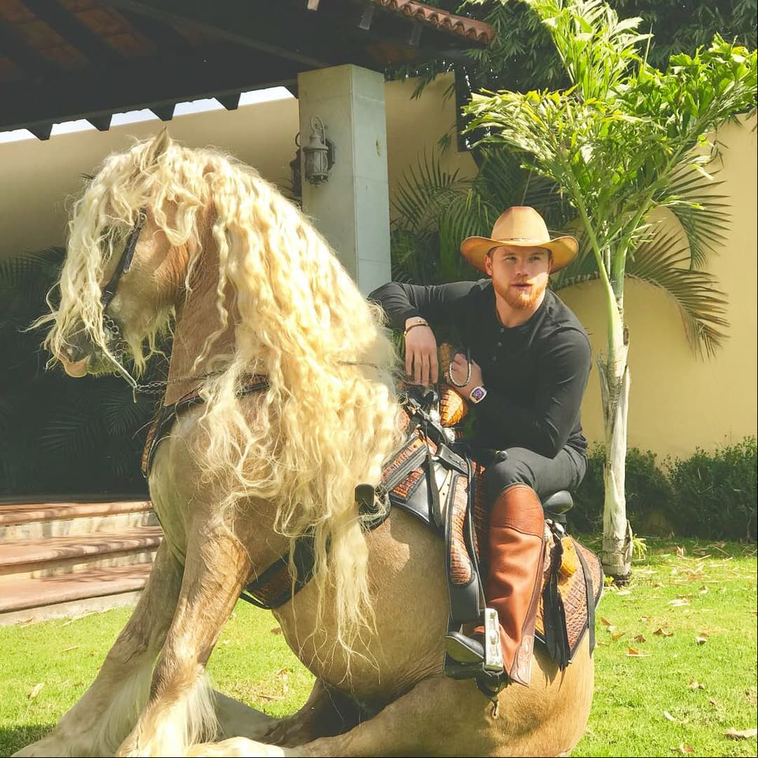 Pero los que de verdad le roban el corazón son los caballos.