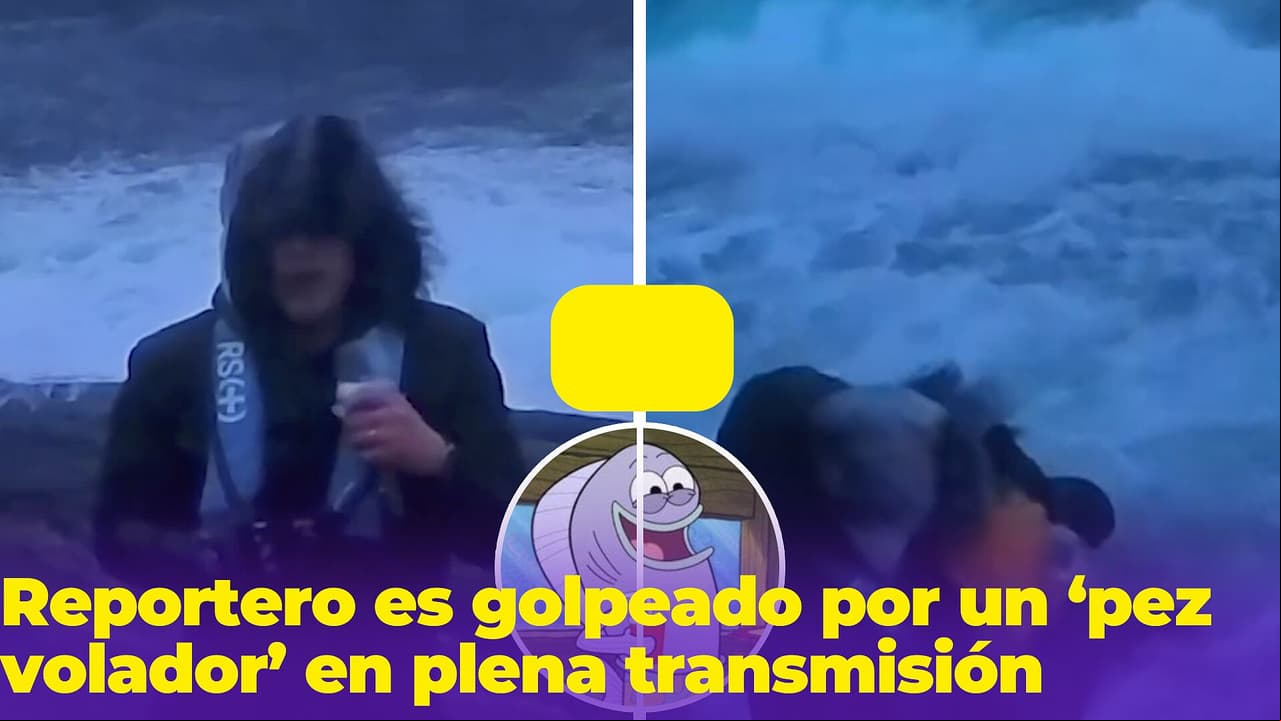 Reportero es golpeado por un ‘pez volador’ en plena transmisión y las risas no tardan en llegar