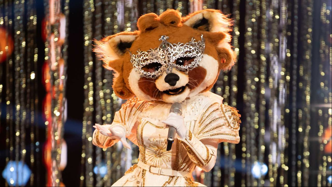 Mapache es un personaje que se deja guiar por el corazón