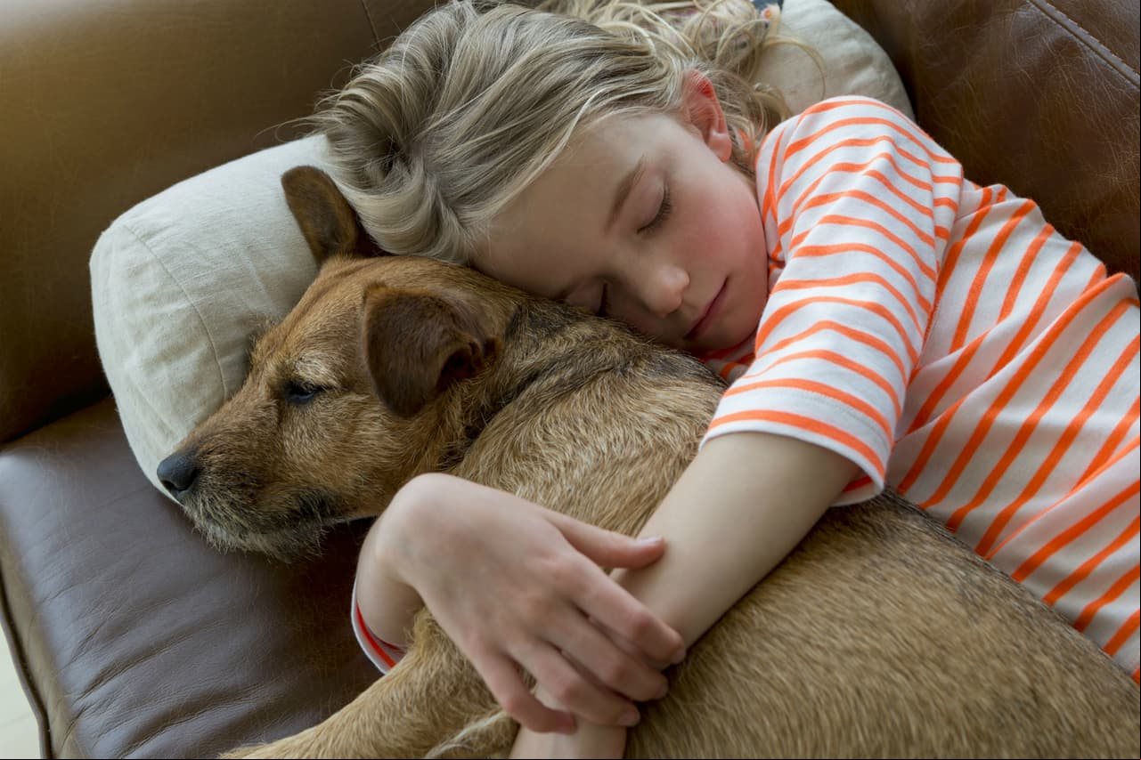 ¿Por qué es bueno dormir con tu perro?