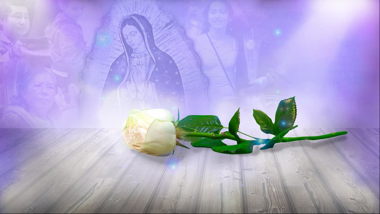 Tenemos ganadora: Conoce a la fan de La Rosa de Guadalupe que cumplirá su sueño de aparecer en la TV