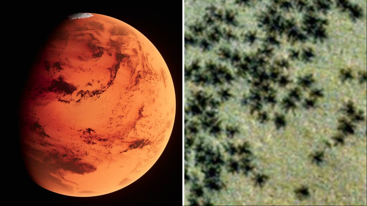 ¿Hay arañas en Marte? La historia detrás de la sorprendente foto de la Agencia Espacial Europea