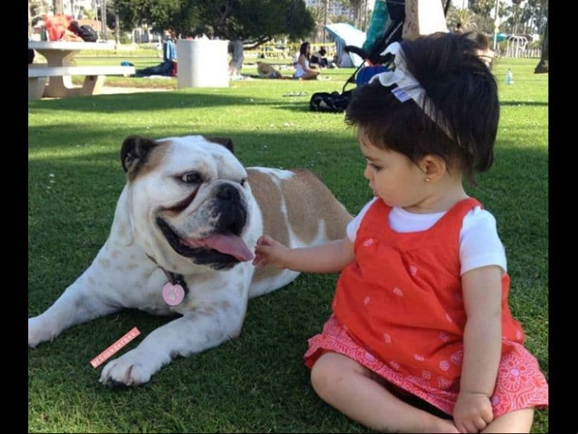 “En casa amamos a Fiona y todos los días la celebramos. Somos muy afortunados de tenerla y la cuidamos lo mejor que podemos. Desafortunadamente, no todos los perros reciben un trato amoroso de sus dueños. Tener a una mascota es un compromiso de vida”, comentó el comediante.
