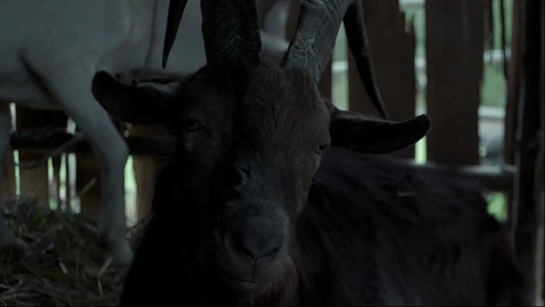 ‘Black Phillip’ en ‘La Bruja’ (2015)