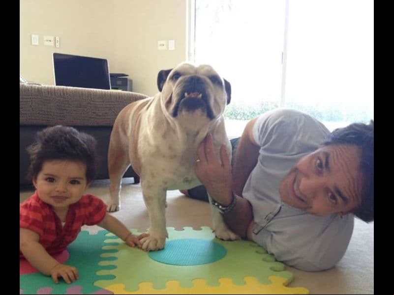 “Aitana y mi perrita Fiona son muy buenas amigas. Ale y yo hemos trabajado mucho para que se quieran y se respeten. Aitana desde que nació convive con Fiona. Han crecido juntas, por lo que Aitana ha aprendido a ser una niña muy respetuosa a la vida de los animales”, precisó el comediante en una serie de videos que publicó minutos después.