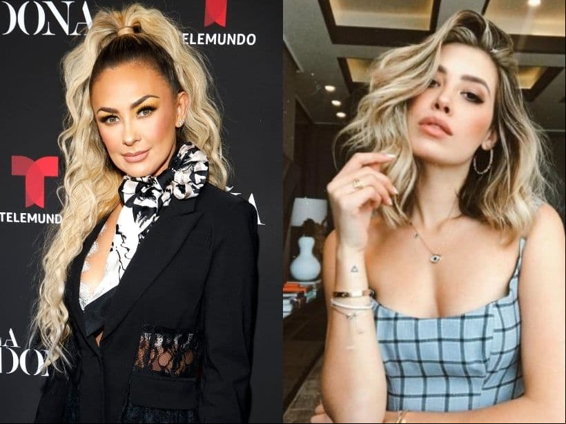 Aracely Arámbula revela que buscó a Michelle Salas para evitar que Luis Miguel la expusiera en serie