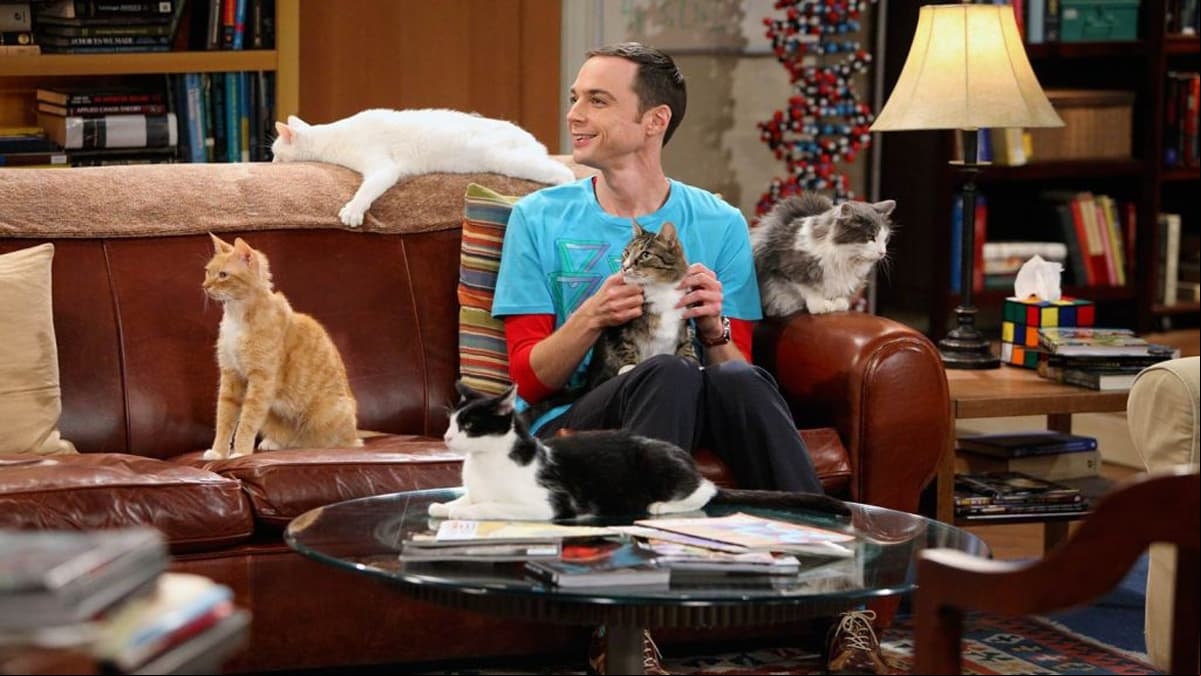 Jim Parsons interpreta a 'Sheldon Cooper'