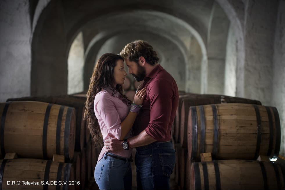 José Alberto Castro le dio a Irina su primer protagónico en la telenovela ‘Vino el amor’ (2016-2017), en la que conoció a su actual pareja, Gabriel Soto. “Fue una gran experiencia, fue lo máximo. Para mí fue mi primer protagónico, yo estoy súper emocionada, me siento muy agradecida, muy afortunada, sobretodo de haber trabajado con esta producción y con el elenco, hicimos una gran familia”, compartió la actriz en entrevista al programa ‘Hoy’ en febrero de 2017.