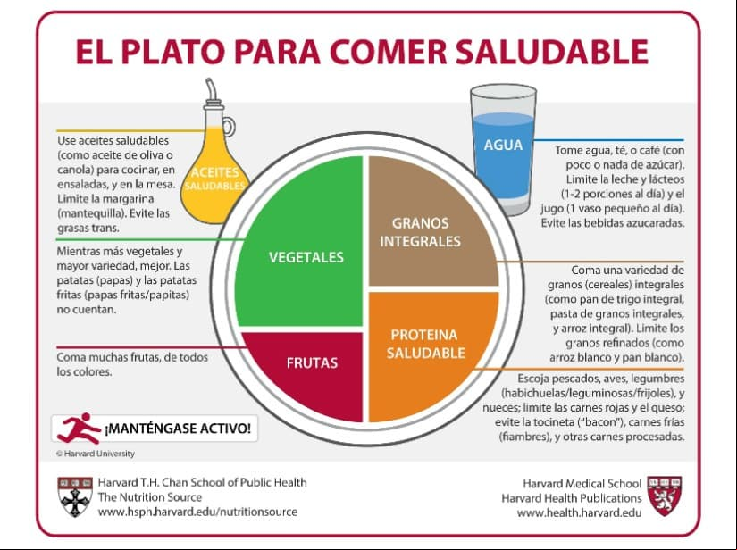 Dieta de Harvard