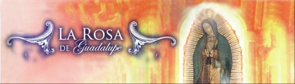Los Milagros de la Virgen de Guadalupe