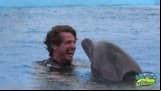 MÉXICO DE DICHOS: ¿Habías escuchado el dicho "Delfines que mucho saltan, viento traen y la calma espantan"?