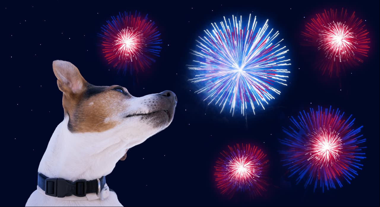 5 motivos por los cuales no tronar cohetes en las fiestas patrias