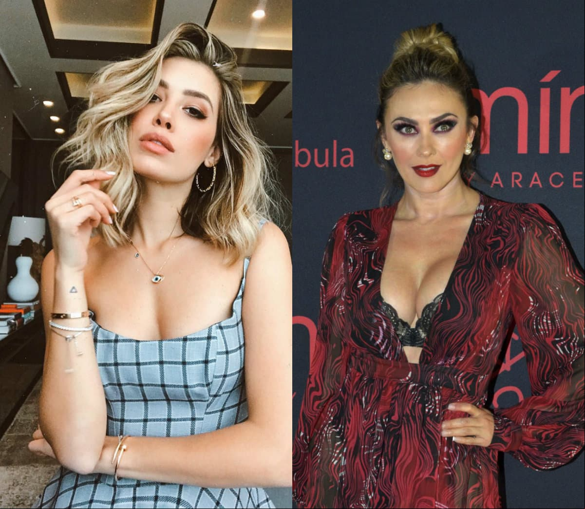 Michelle Salas comparte por primera vez foto junto a los hijos de Aracely Arámbula
