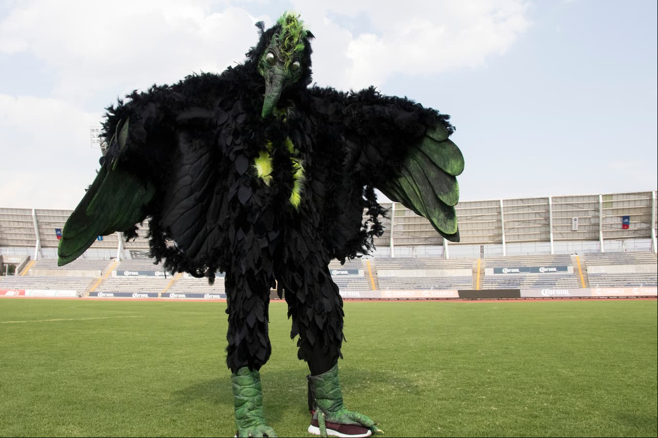 Si tu plumaje es tan negro como el de un cuervo, no te pierdas el final de esta serie el 21 de enero