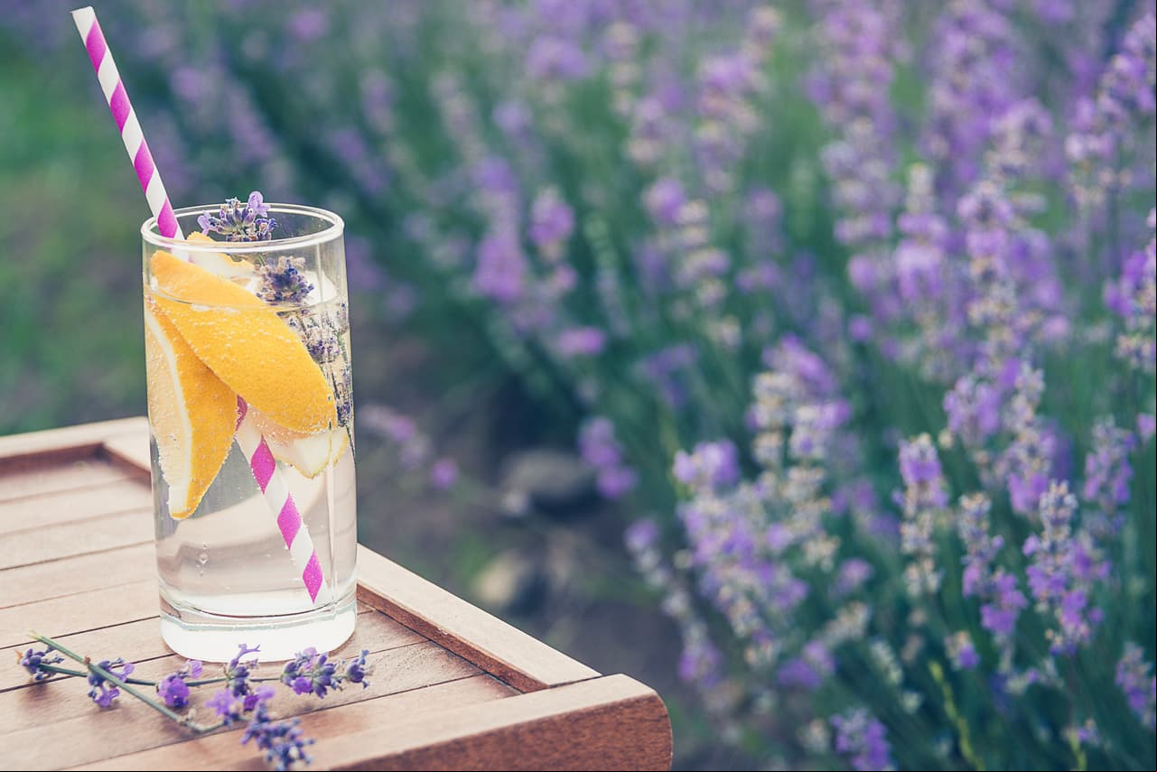 Aprende a preparar agua de lavanda para eliminar el estrés