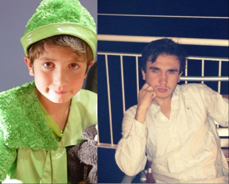 Inmortalizado por su personaje de Ludoviquito en La Familia P. Luche desde el 2002