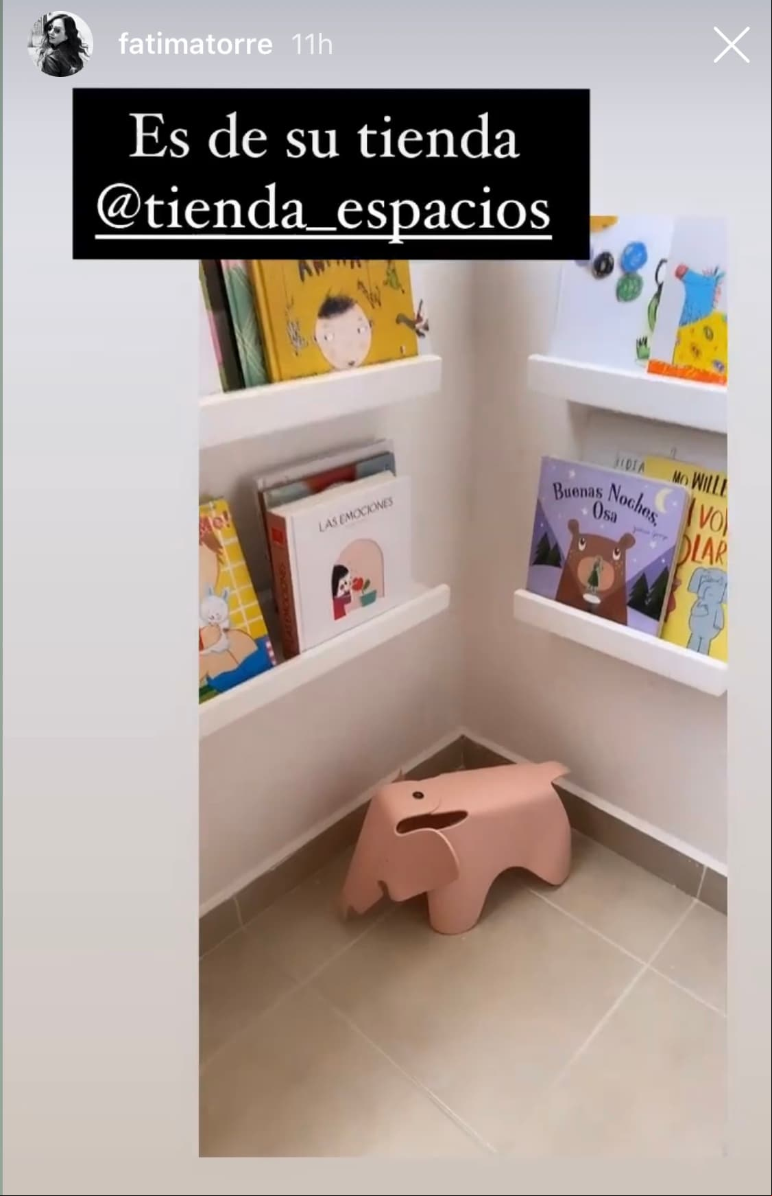 Comenzando por el rincón de lectura, el cual cuenta con diversos estantes y libros, la actriz de 'Soy tu Dueña' mostró cómo es el área donde su pequeña de entretiene.