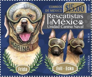La popularidad de Frida llegó hasta el Correo de México y fue una estampilla junto a otros dos caninos de la unidad.