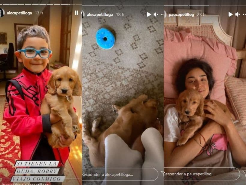 Los Capetillo Gaytán dan la bienvenida la nuevo integrante de la familia.