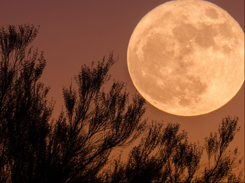 Todo lo que debes saber de la “Luna de Cosecha” que ocurrirá este viernes 13