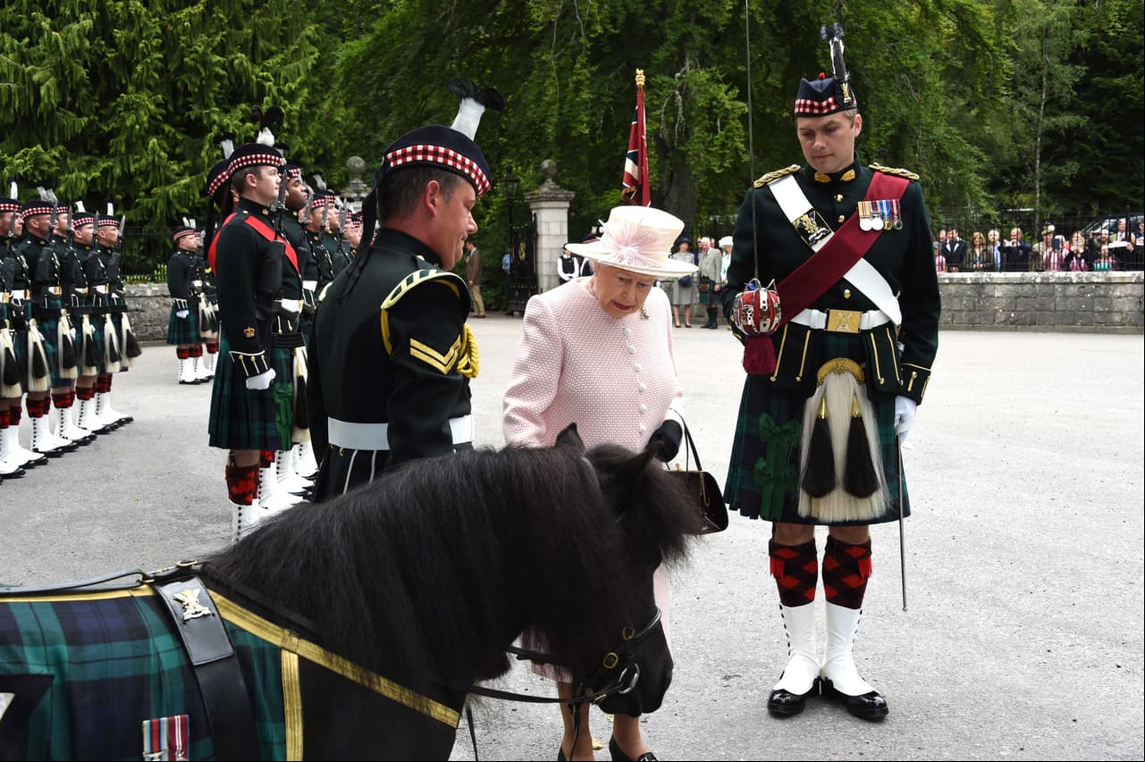 Cruachan, el tierno enemigo de la realeza