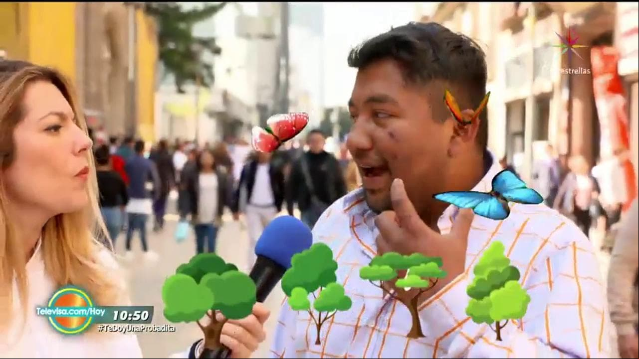 Me los llevó de calle con todo y árbol ¡Genealógico!