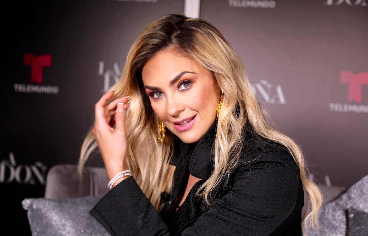 A pesar de que Aracely Arámbula es muy hermética con su vida privada, durante una charla con el conferencista César Lozano compartió que está muy enamorada de un hombre del que no quiso revelar su identidad, ya que no pertenece al medio artístico.