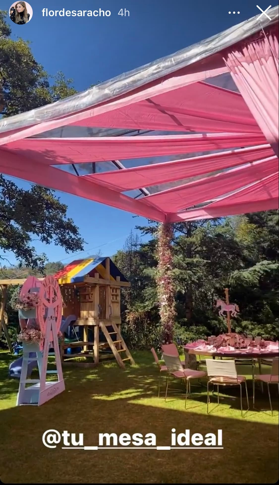En cuanto a la decoración del evento que disfrutaron las invitadas de la actriz se pudo observar que fue en tonalidad rosa y que se realizó en un enorme jardín.