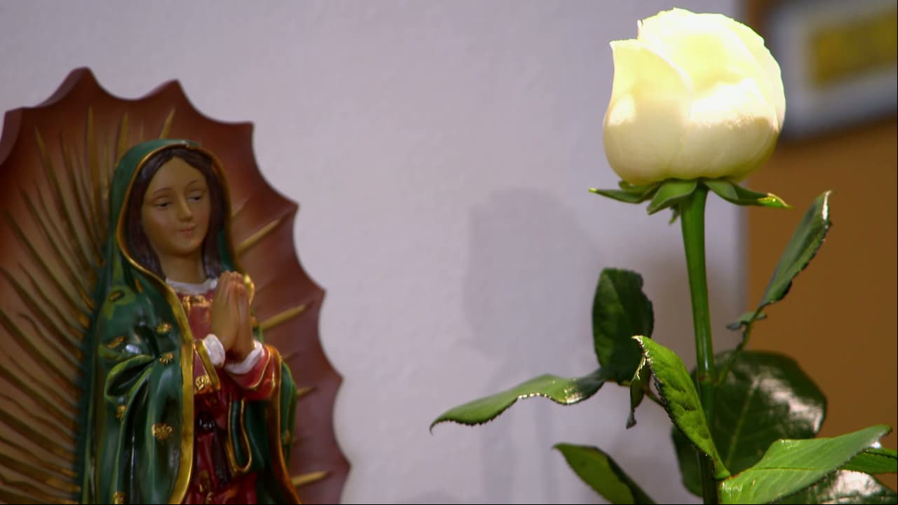 “La Rosa de Guadalupe es un placer culposo”: Carlos Mercado Orduña revela que el “humor” del programa no es involuntario