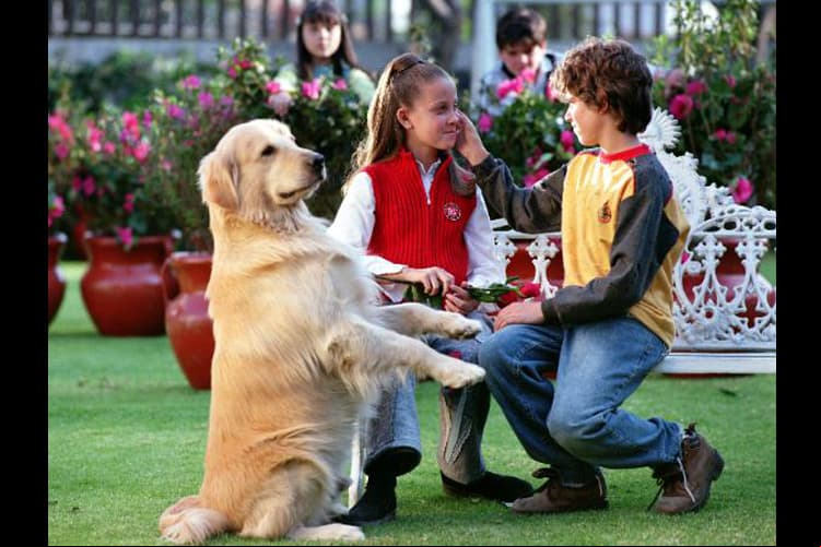 La historia narraba la vida de 'Danilo', un niño de escasos recursos que trabaja para conseguir comida para él y su perro. Por circunstancias de la vida, conocería a 'Don Julián', un hombre mayor que lo apoyaría.
