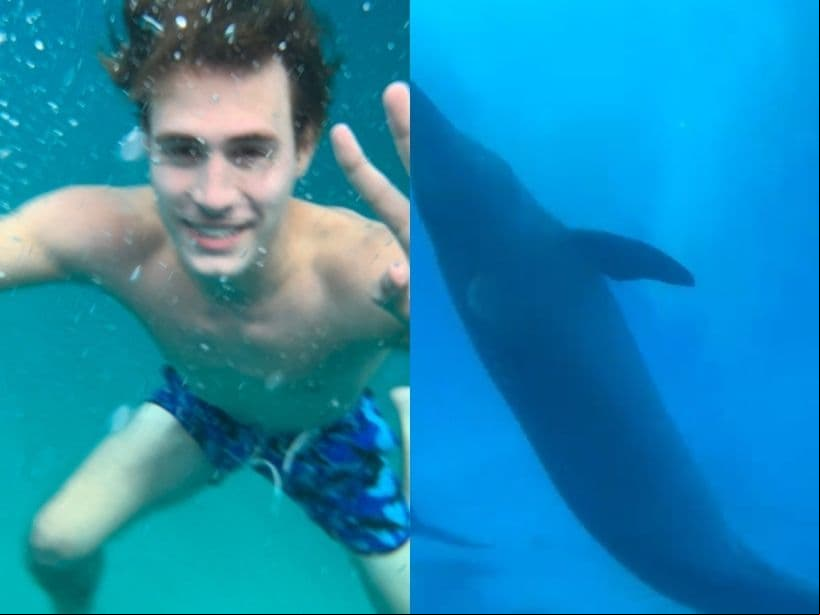 La actriz y el argentino no pudieron ocultar su emoción al poder interactuar de cerca con toda clase de peces y delfines, valiéndole miles de ‘Me gusta’.