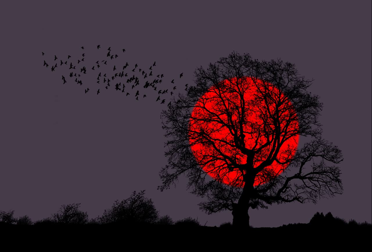 Rituales para la luna de sangre o luna roja ¡aquí!