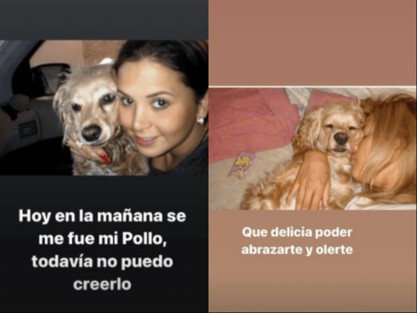 Florencia de Saracho compartió varias fotografías junto a su mascota