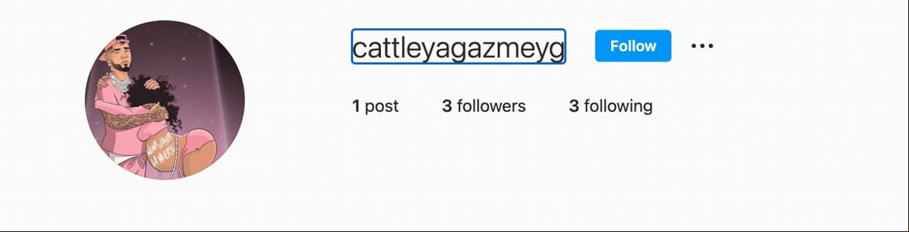 Instagram de Cattleya en 2022