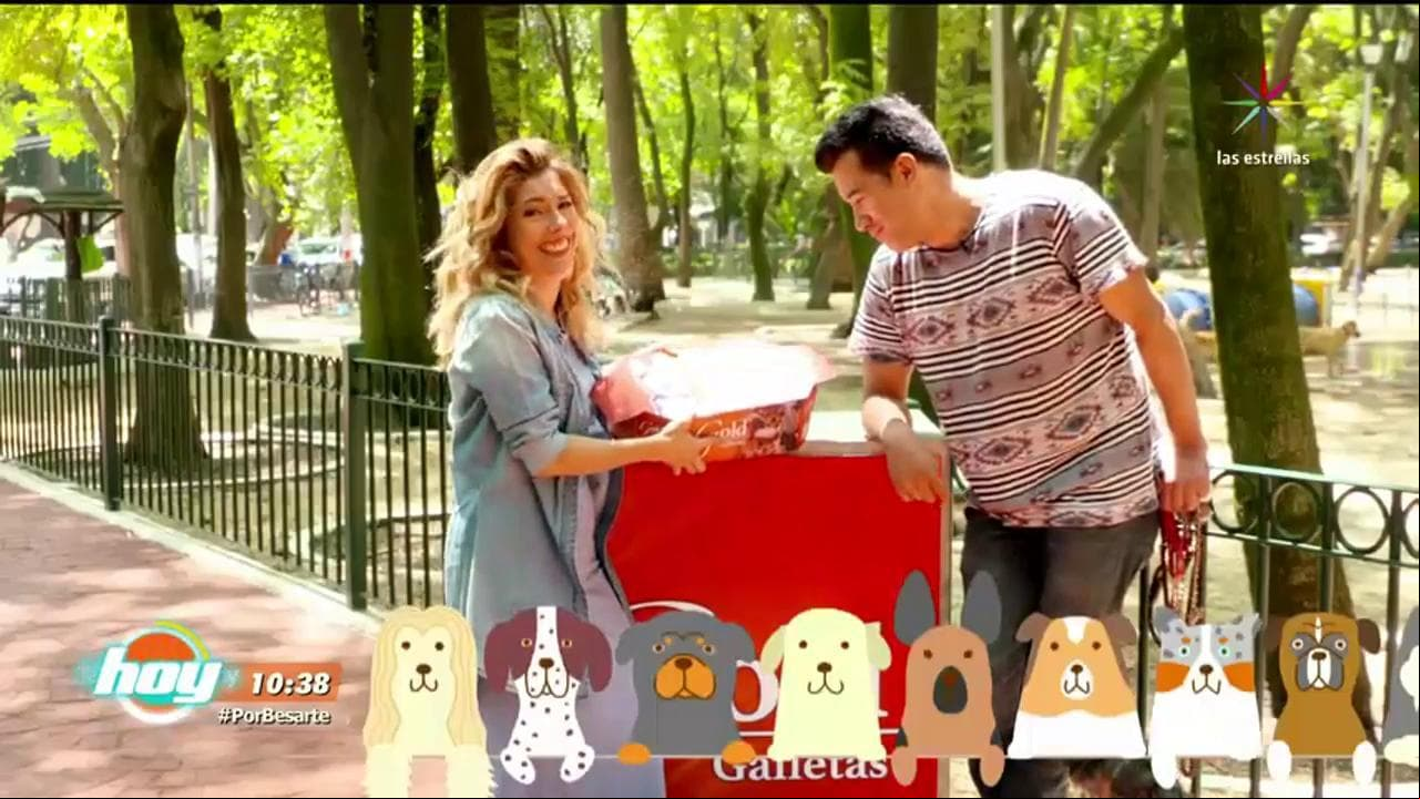 ¿Comerías galletas para perro?