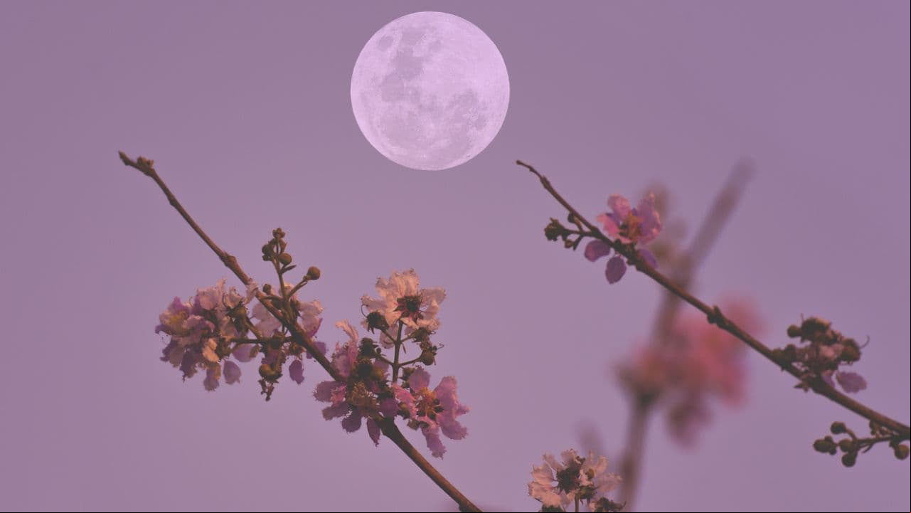 Luna llena en Sagitario: ¿cuándo es y cómo puedo aprovechar su energía?