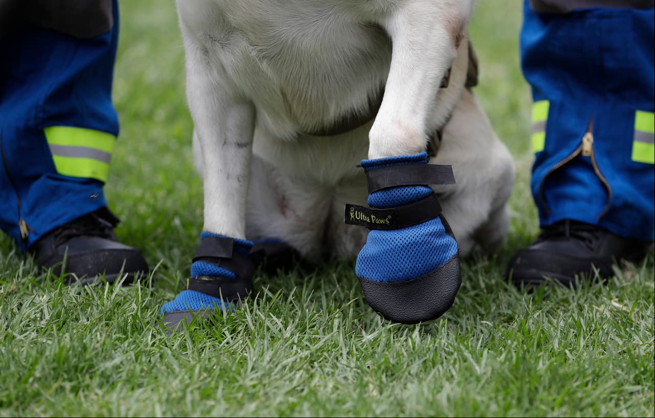 Sus inconfundibles botas azules eran parte del uniforme que utilizó durante su labor como rescatista.