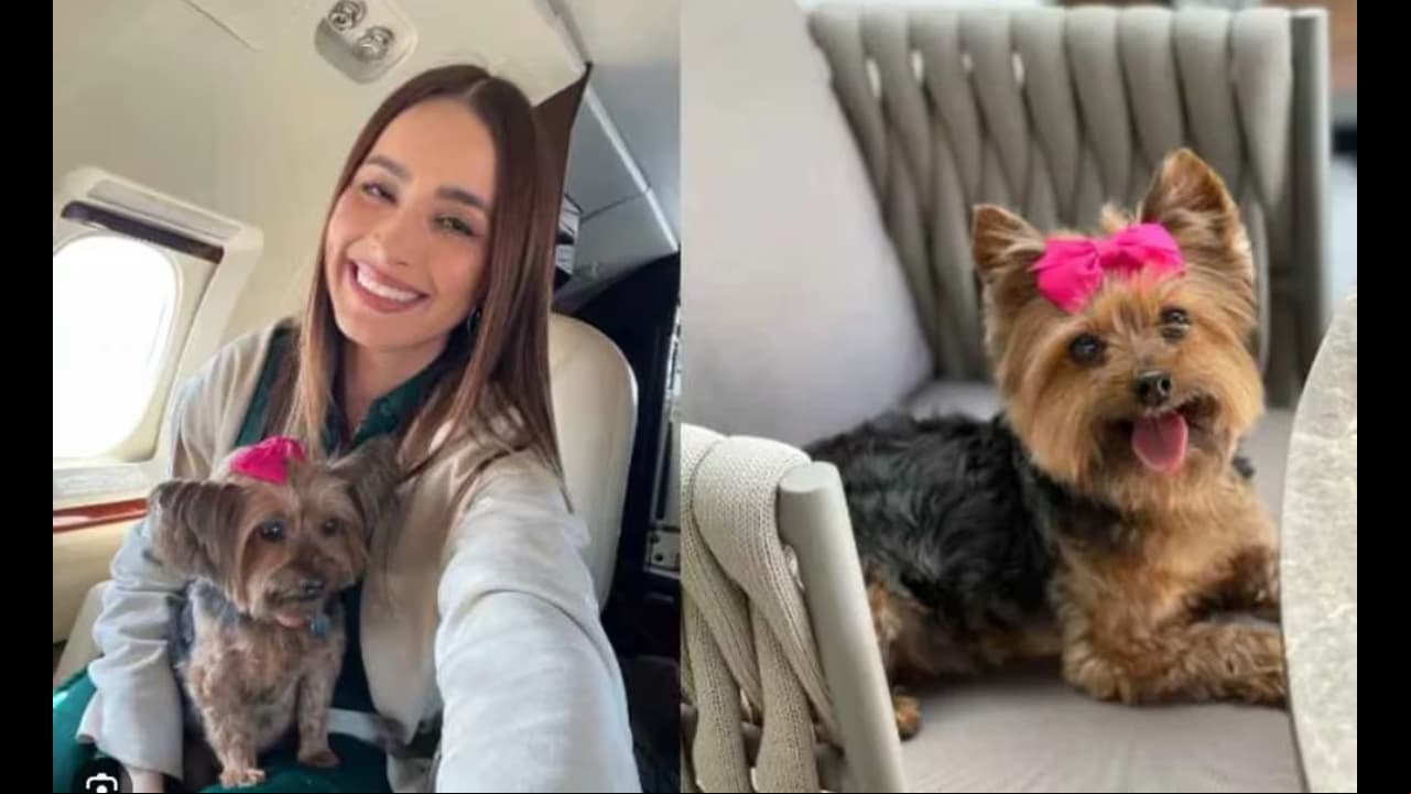 Cynthia Rodríguez llora la muerte de su bebé