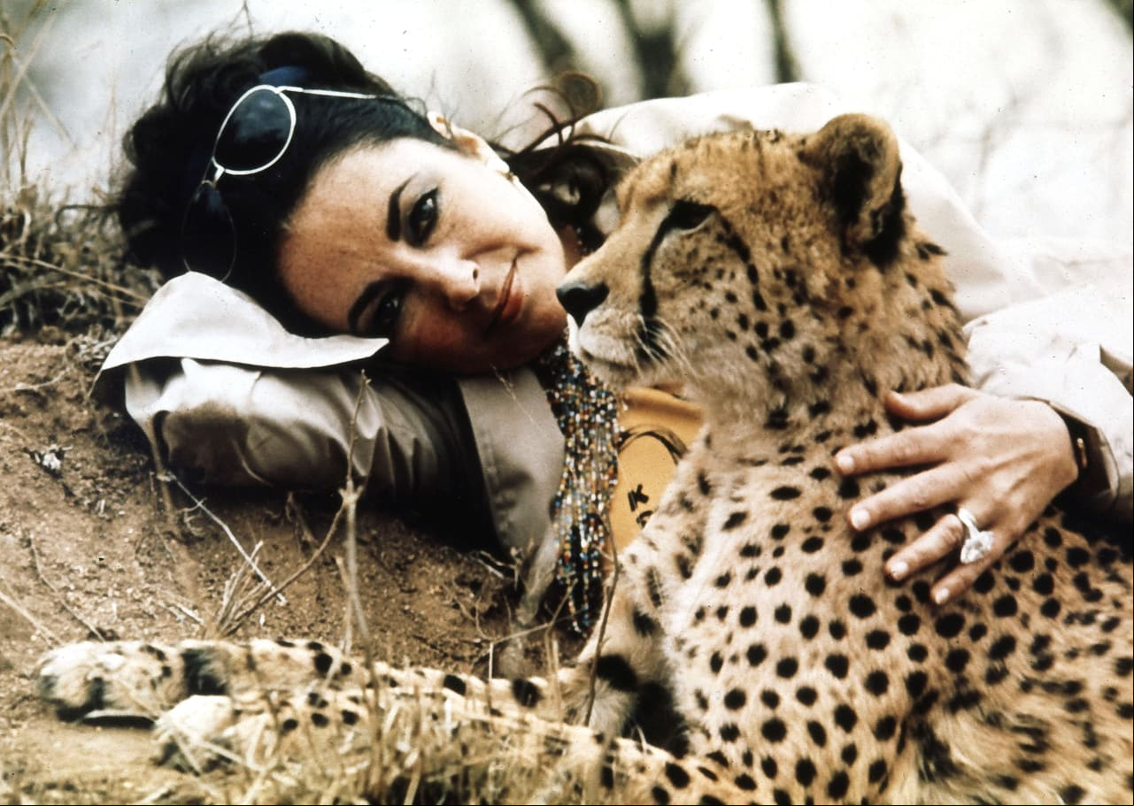En 1978, Richard Burton entregó a Elizabeth Taylor, quien murió en 2011, uno de los anillos más impresionantes y caros de la historia de las celebridades. La pieza, con un enorme diamante que sobrepasaba el dedo de la actriz, fue valorada en más de 8 millones de dólares. Se dice que Taylor prefería usar una réplica en público.