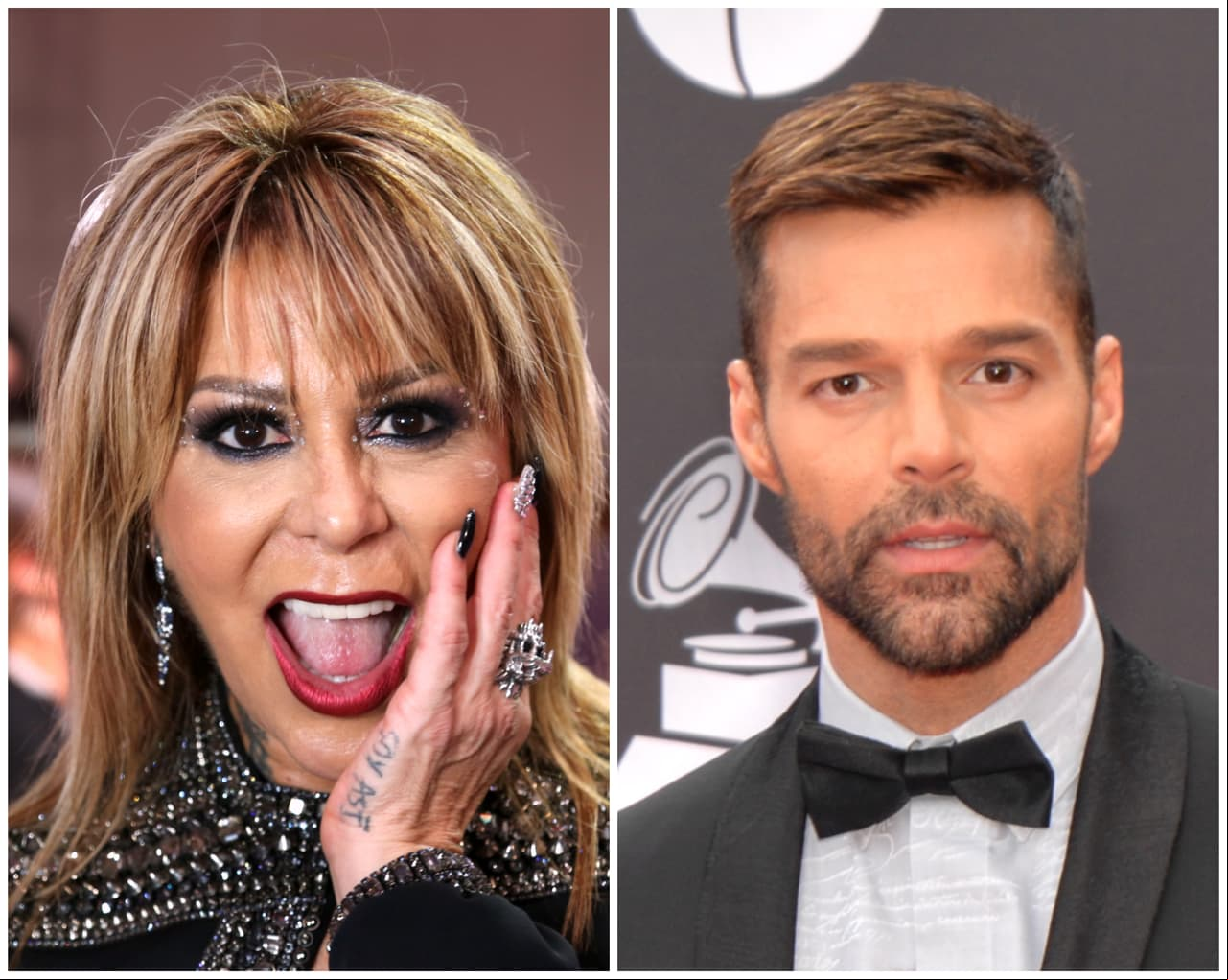 Alejandra Guzmán y Ricky Martin, ¿quién tiene la fortuna más grande?