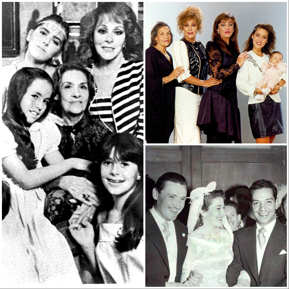 La historia de Silvia Pinal, la última gran diva del cine mexicano, ha estado marcada por entrañables anécdotas de su familia, conformada en su mayoría por artistas talentosos. Te contamos quiénes son todos los integrantes de esta dinastía, una de las más famosas del espectáculo y que, a pesar de las adversidades y pérdidas que enfrentaron, supo mantenerse unida y demostrar la fortaleza que caracteriza a cada uno de ellos.