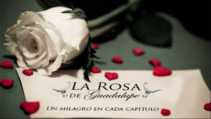 Entérate: ¡La rosa de Guadalupe llega con 2 capítulos diarios!
