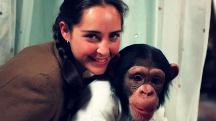 Las 5 telenovelas clásicas de Irán Castillo