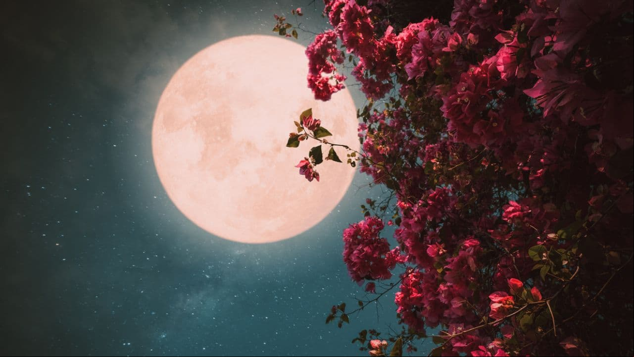 Luna rosa de abril 2023: ¿cuándo y dónde verla?