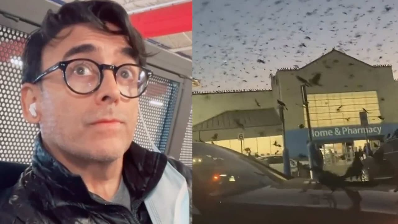 Adal Ramones vive aterrador momento rodeado por cientos de pájaros