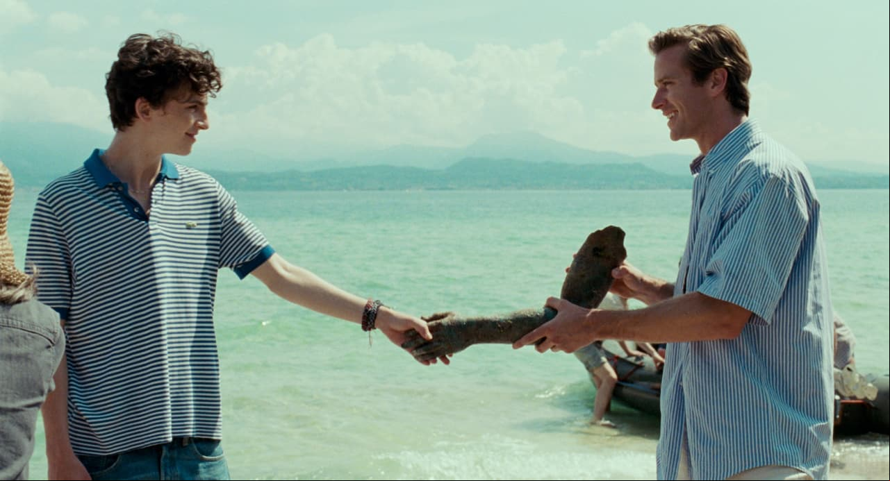 <b>‘Llámame por tu nombre’</b> (2017)
<br>La película de 132 minutos llevó a la pantalla grande el romance LGBT+ escrito por André Aciman; curiosamente no sólo los fans del libro amaron la adaptación, sino que la Academia premió al guion con un Oscar en 2018.